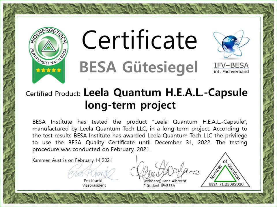 Certificate-Leela-Q-H.E.A.L.-Capsule-long-term-project-engl. (1)