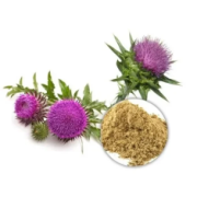 Milk Thistle