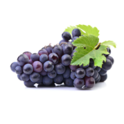 Resveratrol