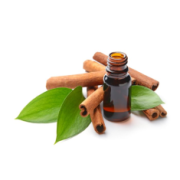 Cinnamon Oil