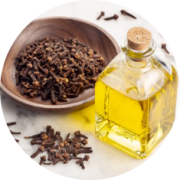 Clove Oil