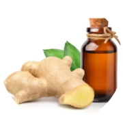 Ginger Oil