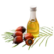 Organic Palm Oil